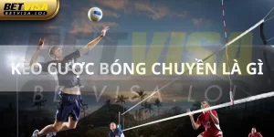 Giải Đáp Kèo Cược Bóng Chuyền Là Gì? Có Dễ Chơi Hay Không?