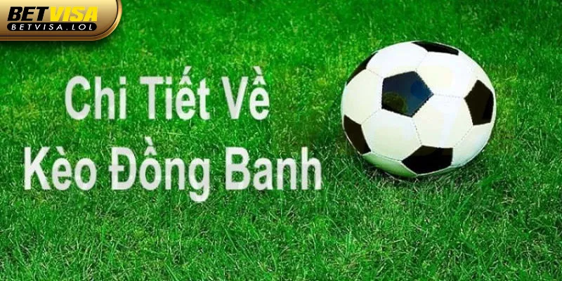 Hướng dẫn đọc tỷ lệ đồng banh kèo handicap là gì