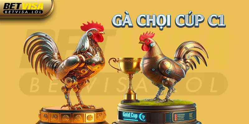 Gà Chọi Cúp C1 Là Gì? Những Lưu Ý Sư Kê Không Thể Bỏ Qua